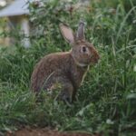 15 lugares que ver en Pamplona imprescindibles (mapa + guía)