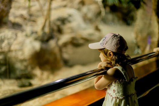 11 lugares que ver en Tenerife imprescindibles (mapa)